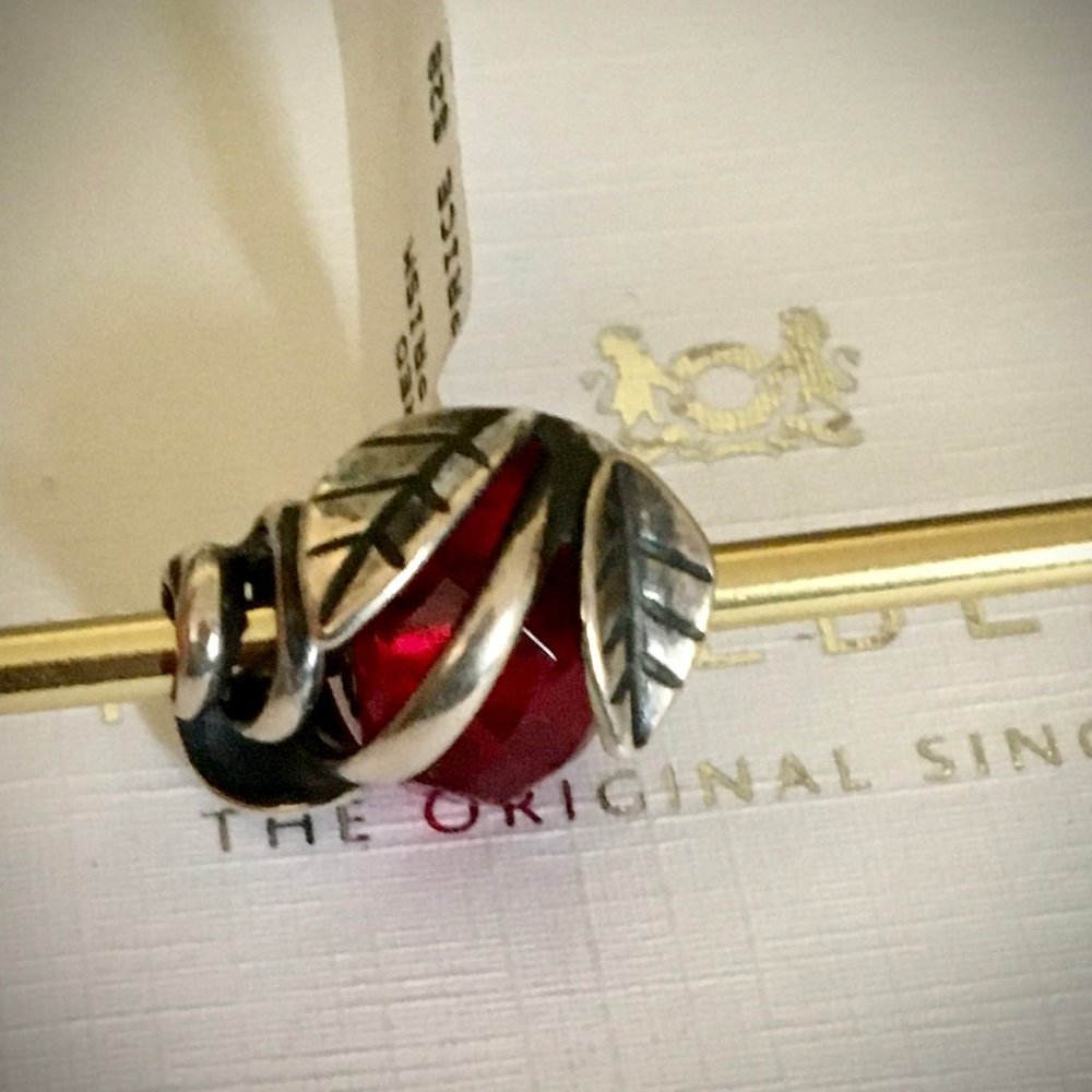Trollbeads Framed by Nature with Bright Red Prism